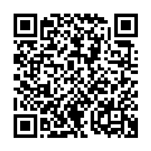 显然这蟒蛇的真正实力显然要比之前的时候表现出来的强大的多二维码生成