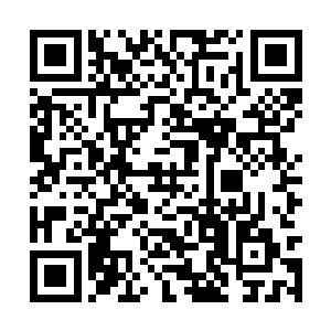 晚宴的规格与一般国家领导人来访晚宴的规格一样二维码生成
