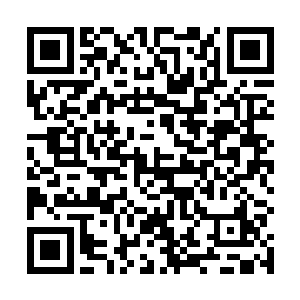 普伦古力的发育程度在西瑟夕里抚养的幼崽中还算不错二维码生成