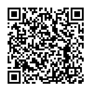 普通的利盘座狼对付一些玛格烈大峡谷里面的低级生物还是不错的二维码生成