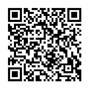 普通至尊境界的强者自然是可以很轻松的封印住普通人的记忆二维码生成