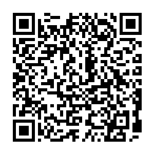 景乔……这么多天了……你都不来找我……我好想你……所以我就来找你了……二维码生成