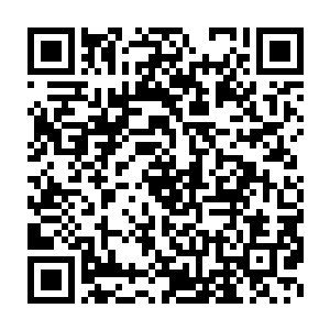 暗影的力量残留在这个地方让这个地方称为了冥界最大的一个裂缝二维码生成