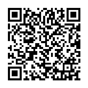 暗道这王家莫不是打算和楚家撕破脸皮彻底开战二维码生成