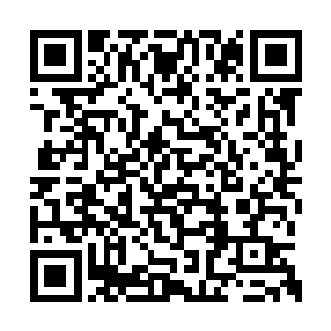 暴熊只感觉到一阵无法形容的庞大力量涌动过来二维码生成