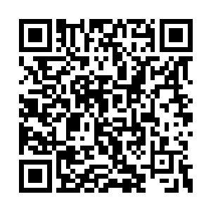 暴虐的气血之力肆意冲击着林铭的全身经脉血管二维码生成