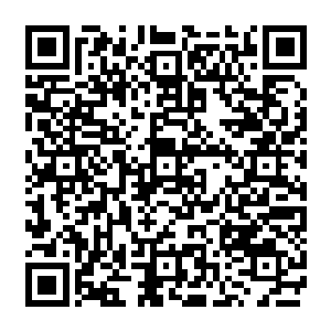 曰本东南亚派遣军总司令松井石根刚刚结束了队印尼廖内加省和雅加达地区的防务视察二维码生成