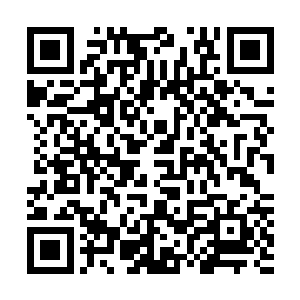 曲双公路的前期准备工作和从拆迁开始后的招投标方案制作二维码生成