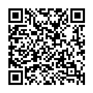 更不愿意出席或未出席党代会的同志们被敌人逮捕杀害二维码生成