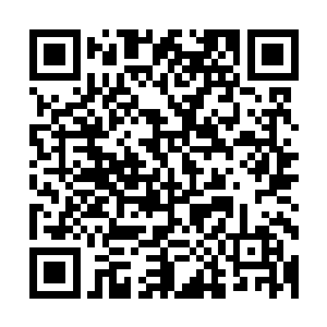 更不用说……他在这种比赛中的经验优势以及那种让人绝望的二维码生成