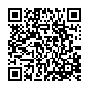更不用说华国根本不允许什么外国执法机构在国内土地上动手脚二维码生成
