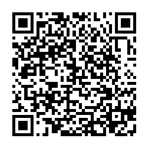更不用说墨夙云这样一个身体虚弱的孩子被墨景黎这么抛到空中再砸下来二维码生成