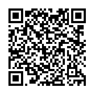 更不用说长生和元辰夕这两个旧伤刚去又舔新伤的货了二维码生成