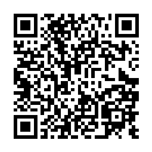 更不要说上周在纽约碰到胜券在握的特蕾西和布拉德了二维码生成
