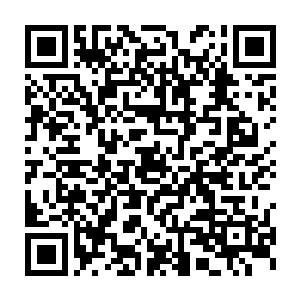 更何况几位今天晚上已经将我们青云派所有的精英弟子都给消灭了二维码生成