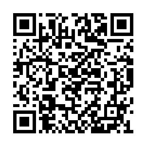更何况在原剧情中根本用不到让花灵出手的程度二维码生成