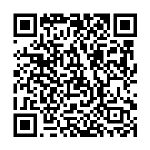 更何况如今他们的父母亲人也同样投诚于眼前的少女二维码生成