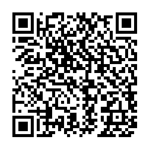 更何况就算是他们成功破处了所有的禁制恐怕也不知道是多少年之后的事情了二维码生成