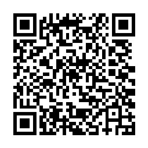 更何况是一群没打过仗只会往前冲或往回退的农民兵二维码生成