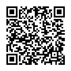 更何况还有这么一个诡异至极的白骨巨人在一旁虎视眈眈二维码生成