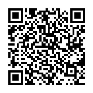 更别提流墨墨那家伙居然为了偷懒才想着把血姬冷她们拉出来二维码生成