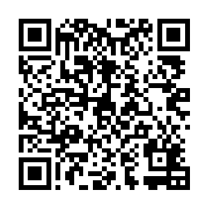 更别提这么堂而皇之的以上百辆豪车的标准在市府门口路过二维码生成