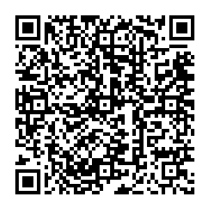 更别说他还曾被僵尸之王进行过祁天之术 这等神术 早已泯灭在历史的长河中 但他是幸运的 也是不幸的二维码生成