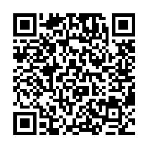 更别说你们连目前的太虚血脉都只是掌握到中级程度二维码生成