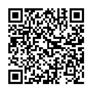 更别说这种只有西域密宗的嫡系才可以修炼的火焰刀绝技了二维码生成