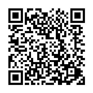 更加直观的原因……神葬修罗曾经发动过一次屠神战役二维码生成