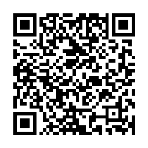 更可气的是派出去的谈判专家什么都没搞定就跑回来便也罢了二维码生成