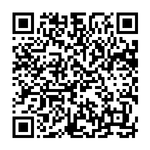 更多的时候像今天这般背着粪筐在村边拾粪――燕子坞人养得猪牛羊无数二维码生成