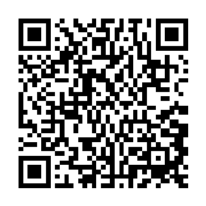 更多的还是需要无数的生死搏杀来不断的提升……若非如此的话二维码生成