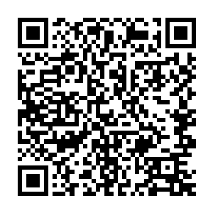 更怕枫族一接触到这个人类就会被他体中的不死树之种吸去生命力二维码生成
