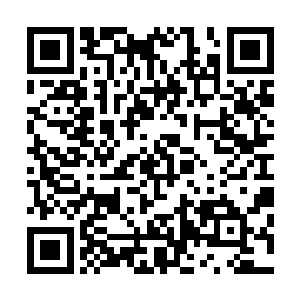 更是吸引了仙界众多强者纷纷为了一官半职而争的头破血流二维码生成