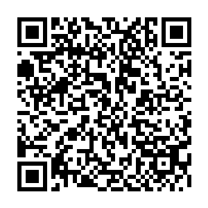 更是看到了自己曾经一血魔大手印硬生生轰碎了九幽星的詹台氏的一座秘境二维码生成