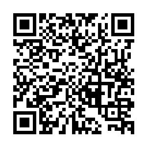 更是让陆七恨不得找个地洞钻进去……钻地洞都算是便宜的了二维码生成