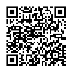 更没发现不远处一团牛粪正诡异地自动移到了大篷车的后面二维码生成