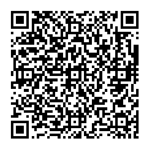 更遑论平安无事的带走他老爹了……秦方手上倒是有一块他老爹托血手人魔涂三带给秦方的入岛的牌子二维码生成