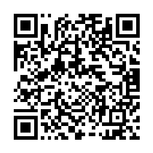 曹仁实在没想到霸王军会几乎把其中的攻城器械都带了上来二维码生成
