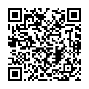 曹同浦仅仅用气势就死死压制住这个低等级的猴妖二维码生成