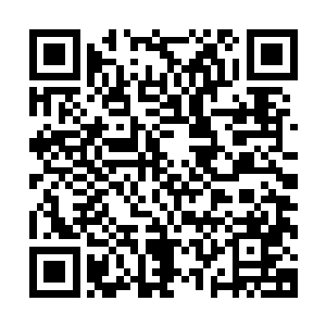 曾义能够这么想在这个尔虞我诈的修真界里面算是非常不错的二维码生成