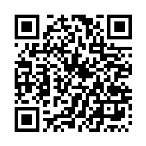 曾在这整个无量须弥洞天世界之内感应过几次二维码生成