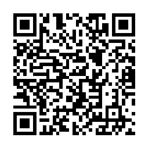 曾建文已经从土壤和鱼塘水里抽取了大量的样子进行研究二维码生成