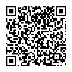 曾毅也就只是提拔了王守仁和司徒威这两位在朝中算得上号的官员了二维码生成
