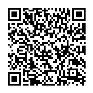 曾毅从宁王朱宸濠的嘴里得到了一些对于情报机构而言非常有用的东西二维码生成