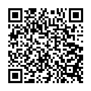 曾经在祭祀的过程中感受到的那恢弘浩大的意志一闪而逝二维码生成