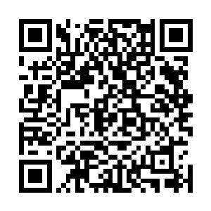 曾经最强大的霸主也不过只是地巫五殿后期巅峰和分神初期二维码生成
