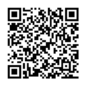 曾经有过一次经历的林小乖很清楚门外站着的是谁二维码生成