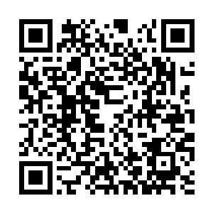 曾记得师父乘万里说过他的体内世界就是一方大陆二维码生成